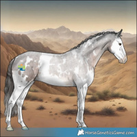 Horse Color:White Spotted Liver Chestnut Splash 