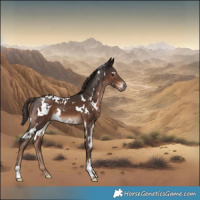 Horse Color:White Spotted Liver Chestnut