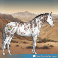 Horse Color:White Spotted Liver Chestnut Sabino Splash 