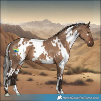 Horse Color:White Spotted Liver Red Dun 
