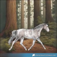 Horse Color:Platinum Chocolate Palomino Sabino Splash Tobiano Rabicano 