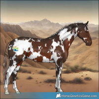Horse Color:White Spotted Liver Chestnut 
