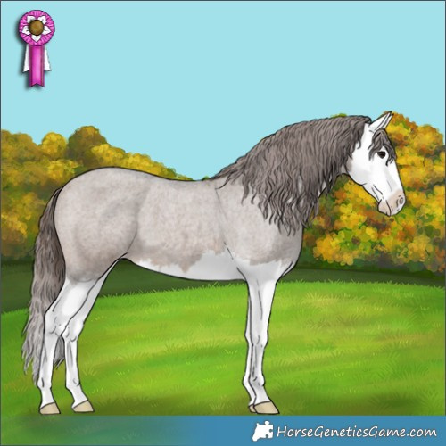Horse Color:Bay Roan Dun Splash Appaloosa 