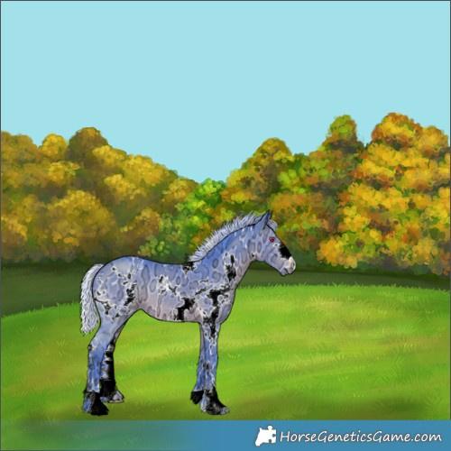 Horse Color:Watercolor White Spotted Silver Brown Chinchilla Ice 