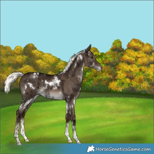 Horse Color:White Spotted Liver Red Dun Ice Mushroom 