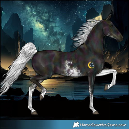 Horse Color:Platinum White Spotted Midnight Liver Red Dun Mushroom Rabicano Brindle 