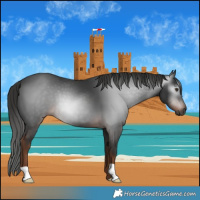Horse Color:Gray Liver Chestnut