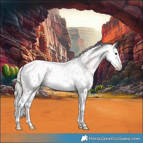 Horse Color:Silver Brown Ice Roan Dun Splash Appaloosa 