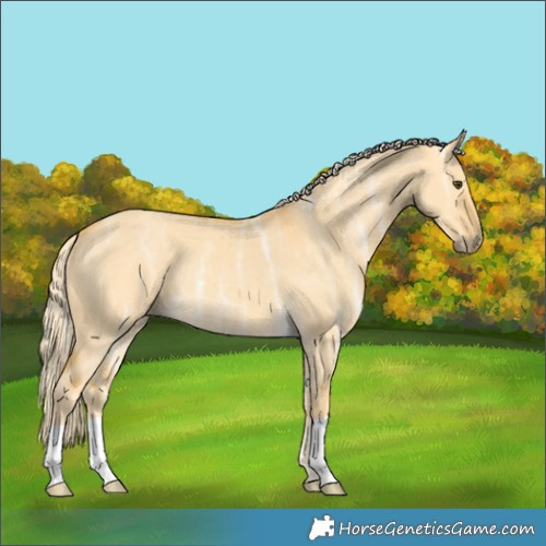 Horse Color:Palomino Ice Dun 