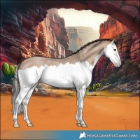 Horse Color:Bay Roan Dun Splash