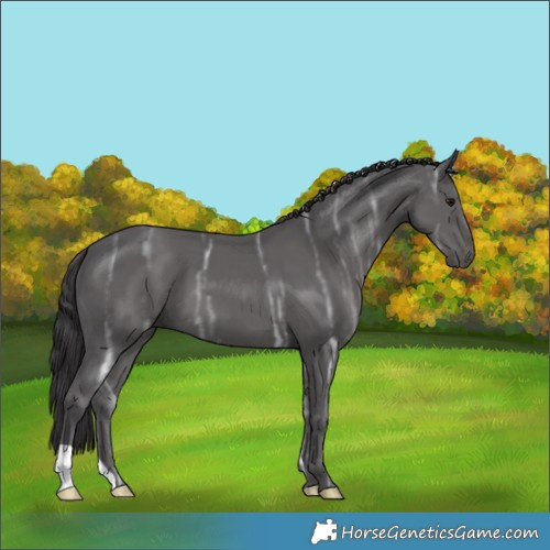 Horse Color:Smoky Black Ice 