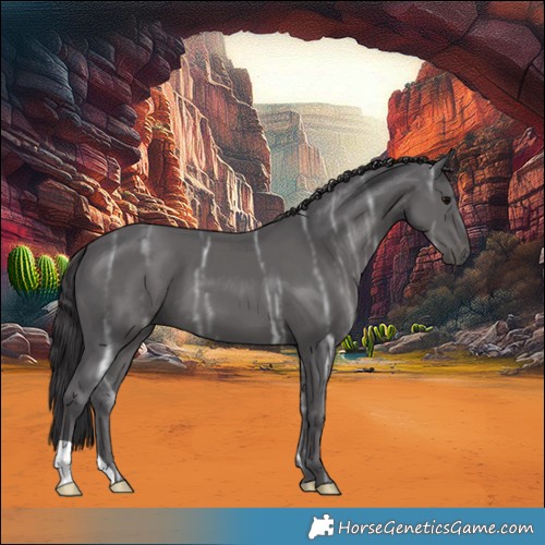 Horse Color:Smoky Black Ice 