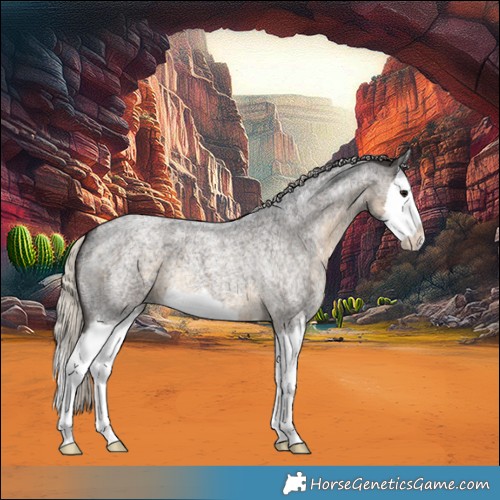 Horse Color:Silver Smoky Blue Roan Splash 
