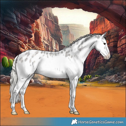 Horse Color:Silver Smoky Blue Ice Roan Splash Appaloosa 