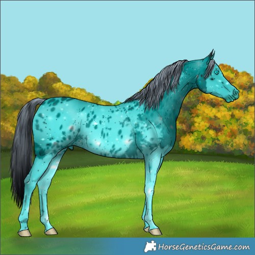 Horse Color:ERROR: UNKNOWN ANOMALY