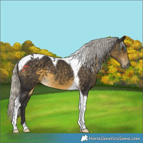 Horse Color:Silver Buckskin Tobiano 