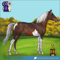 Horse Color:Silver Brown Tobiano Rabicano