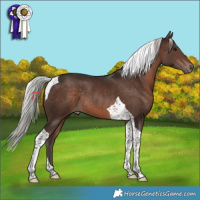 Horse Color:Silver Brown Tobiano Rabicano