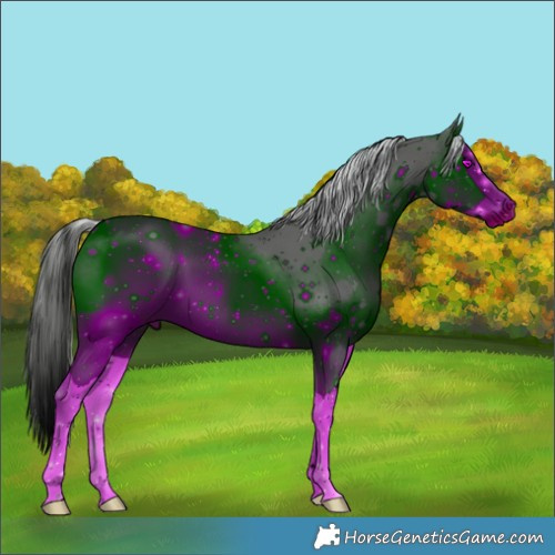 Horse Color:ERROR: UNKNOWN ANOMALY