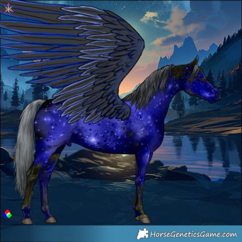 Horse Color:ERROR: UNKNOWN ANOMALY