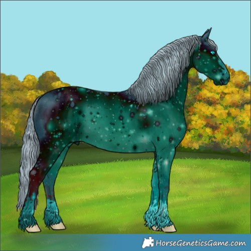 Horse Color:ERROR: UNKNOWN ANOMALY