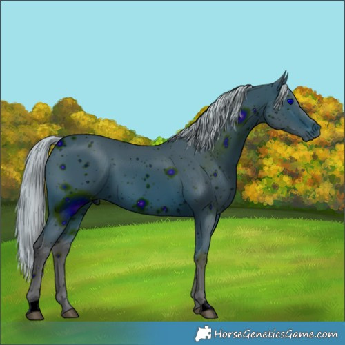 Horse Color:ERROR: UNKNOWN ANOMALY
