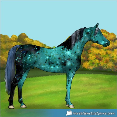 Horse Color:ERROR: UNKNOWN ANOMALY