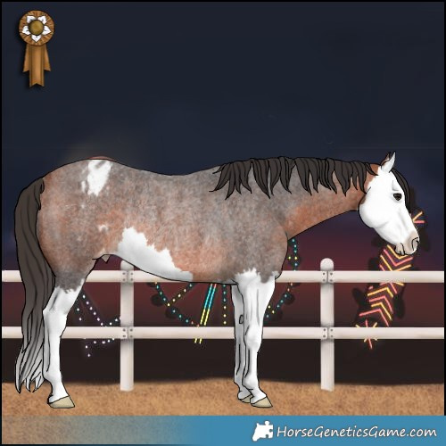 Horse Color:Bay Roan Splash Varnish Rabicano 