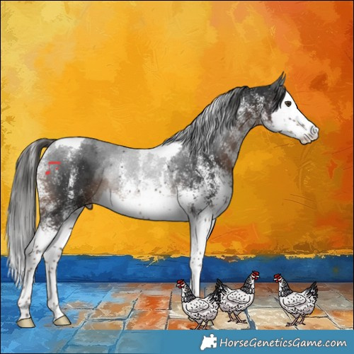 Horse Color:White Spotted Liver Chestnut Splash Tobiano Rabicano