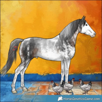 Horse Color:White Spotted Liver Chestnut Splash Tobiano Rabicano 