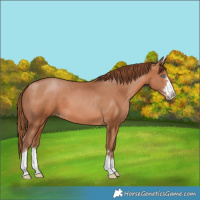 Horse Color:Brown Pearl
