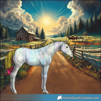 Horse Color:Painted Smoky Black Ice Sabino 