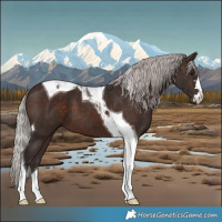 Horse Color:Silver Brown Tobiano 