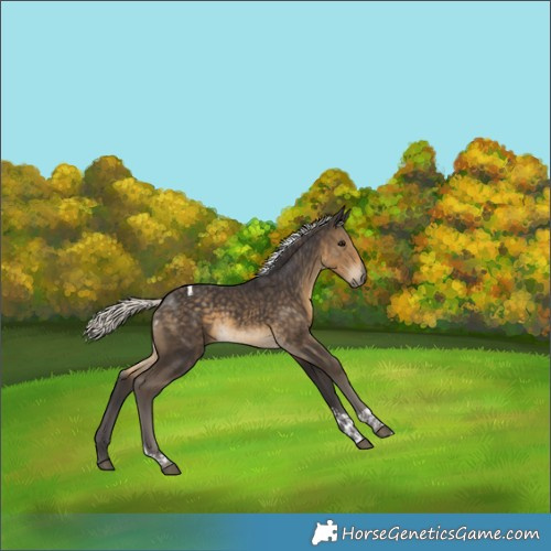 Horse Color:Silver Smoky Black Tobiano 