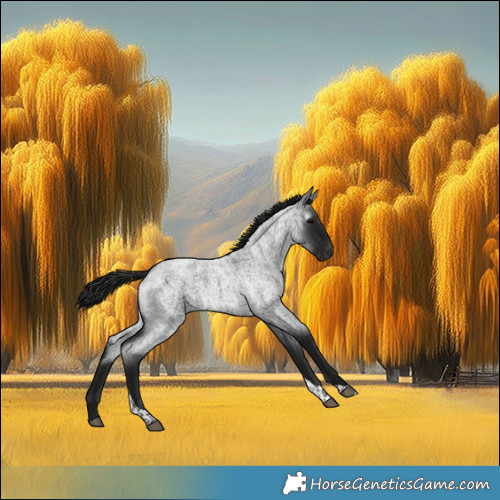 Horse Color:Gray Blue Roan Tobiano Rabicano 