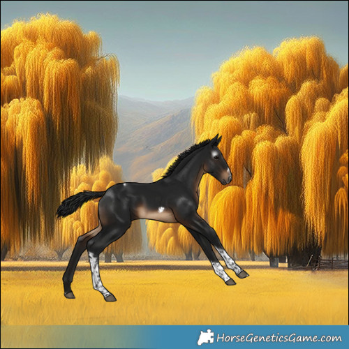 Horse Color:Gray Brown Tobiano Frame Rabicano 