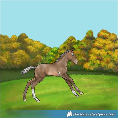Horse Color:Gray Silver Buckskin Pearl Tobiano 