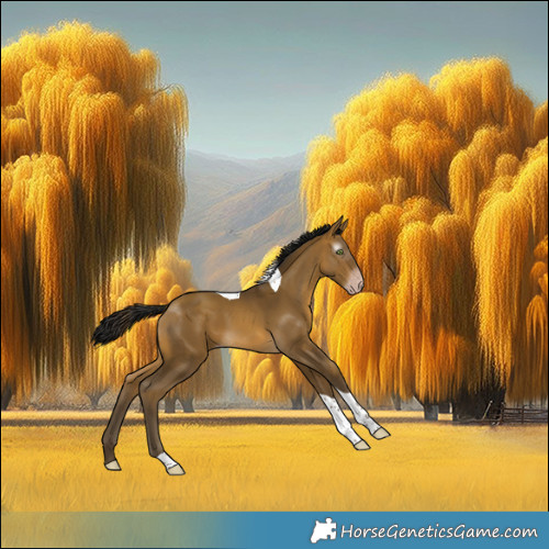 Horse Color:Gray Sable Cream Champagne Tobiano 
