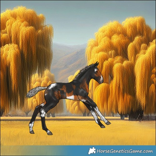Horse Color:Gray Silver Buckskin Tobiano Frame  and Gray Silver Brown Tobiano Frame 