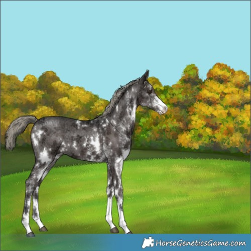 Horse Color:White Spotted Liver Chestnut Ice Mushroom 