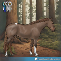 Horse Color:Liver Red Dun Tobiano 