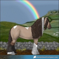 Horse Color:Liver Red Dun Tobiano