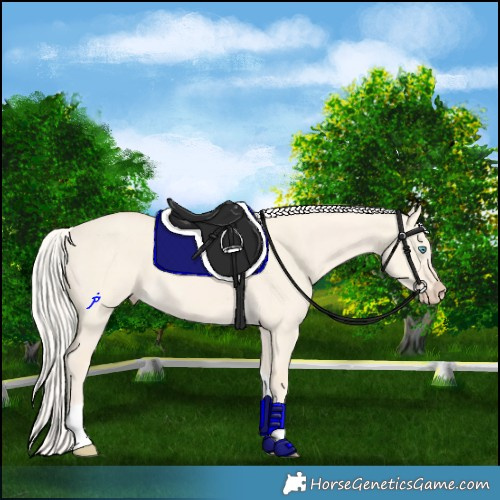 Horse Color:Cremello Dun Tobiano