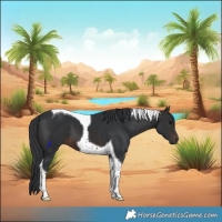Horse Color:Brown Tobiano 