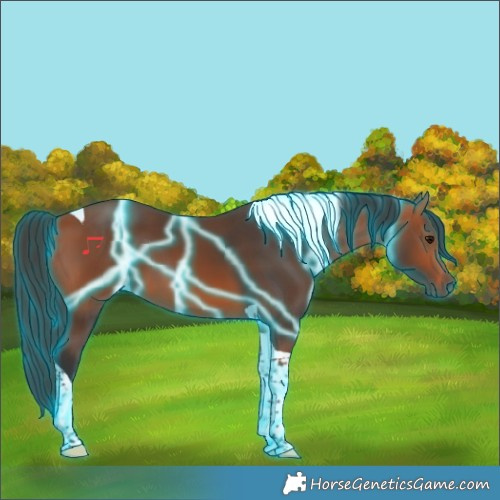 Horse Color:Thunderstruck Bay Tobiano 