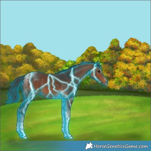 Horse Color:Thunderstruck Bay Tobiano 