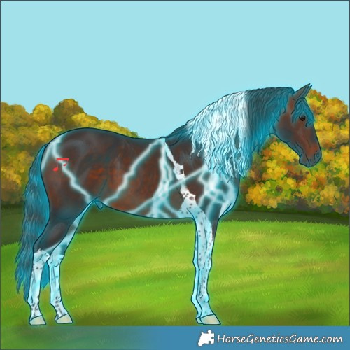 Horse Color:Thunderstruck Bay Tobiano 