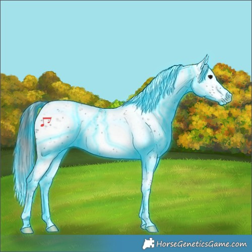 Horse Color:Thunderstruck White Spotted Brown Sabino Rabicano 