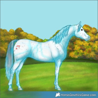 Horse Color:Thunderstruck White Spotted Brown Sabino Rabicano 
