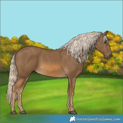 Horse Color:Chocolate Palomino 